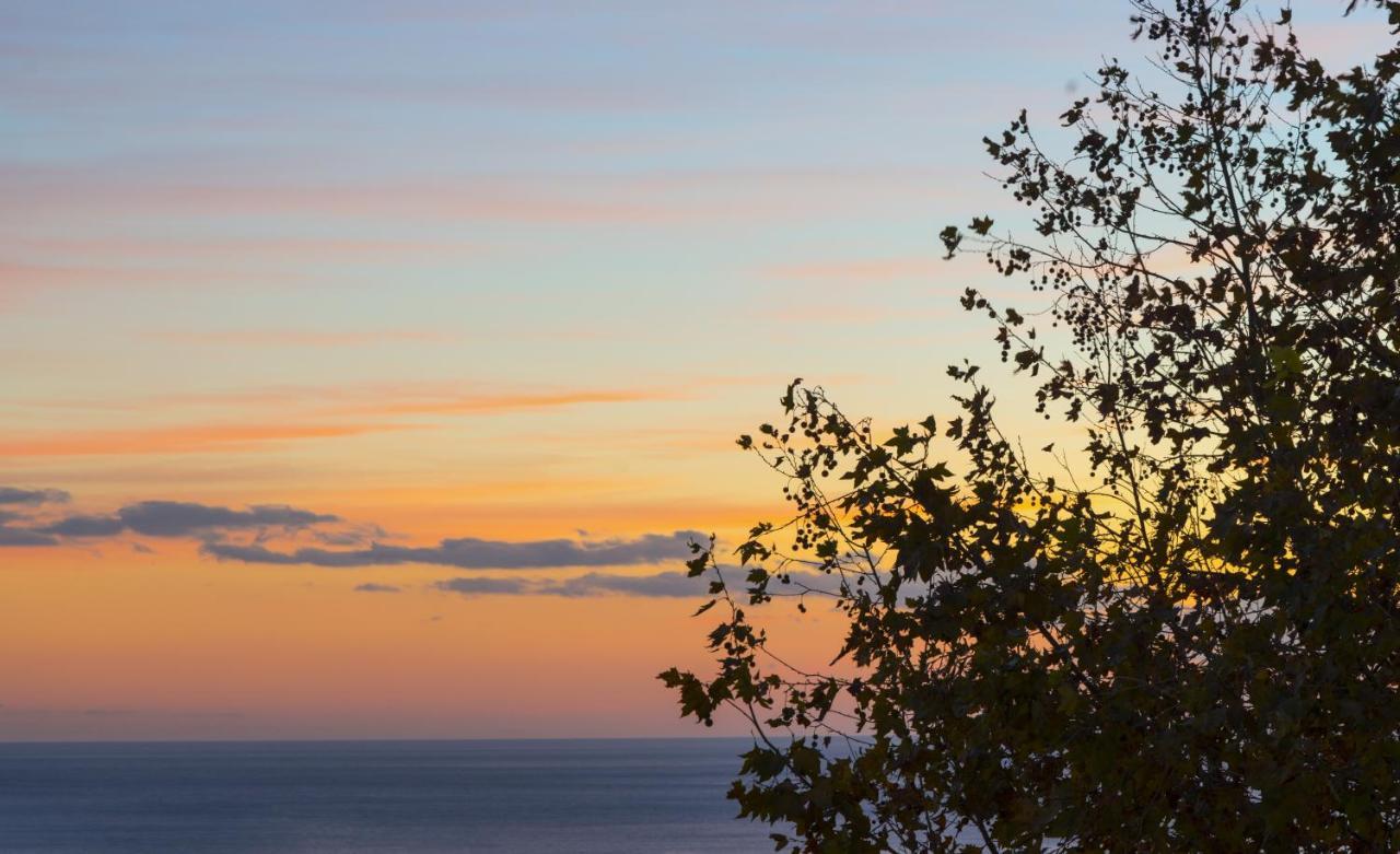 Ambrosea Amalfi Coast B&B Vietri エクステリア 写真